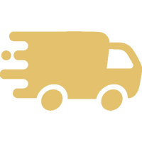 Schnelle Lieferung Icon